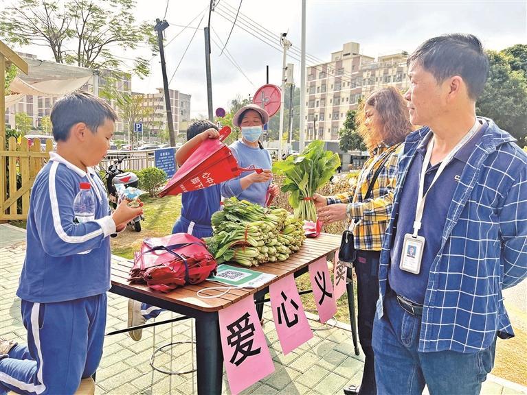 大水坑社区幸福农场开启公益新亮点  送上新鲜蔬菜 情暖特殊人群.jpg