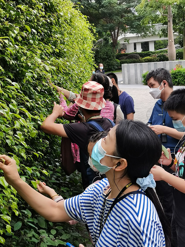 触摸自然触动心灵 ！深圳志愿者带着他们“看见”花开的秘密2.jpg